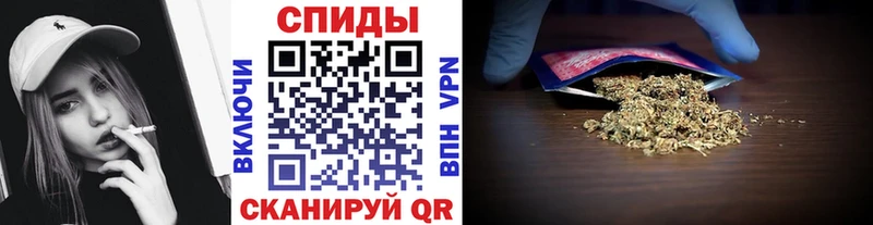 купить Звенигород Бутират буратино