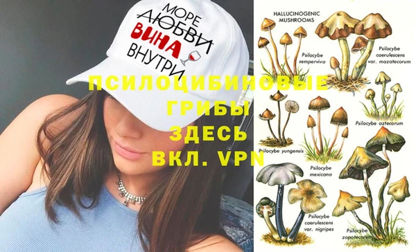 молекула духа Гусиноозёрск