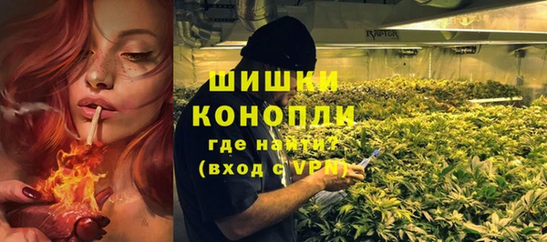 молекула духа Гусиноозёрск