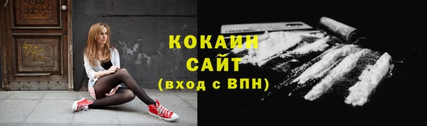 молекула духа Гусиноозёрск