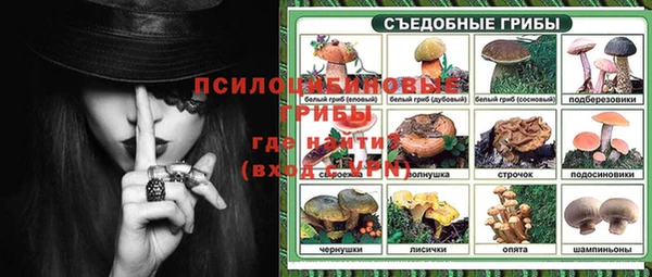прущие крисы Гусев