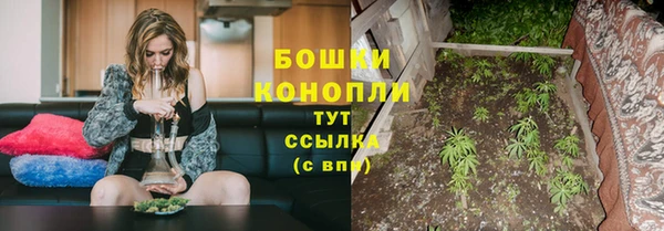 молекула духа Гусиноозёрск