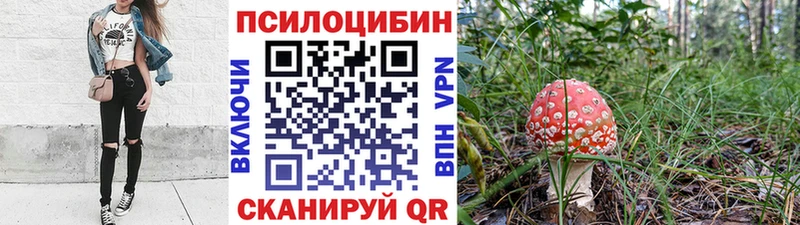 blacksprut онион  Звенигород  Псилоцибиновые грибы Magic Shrooms 