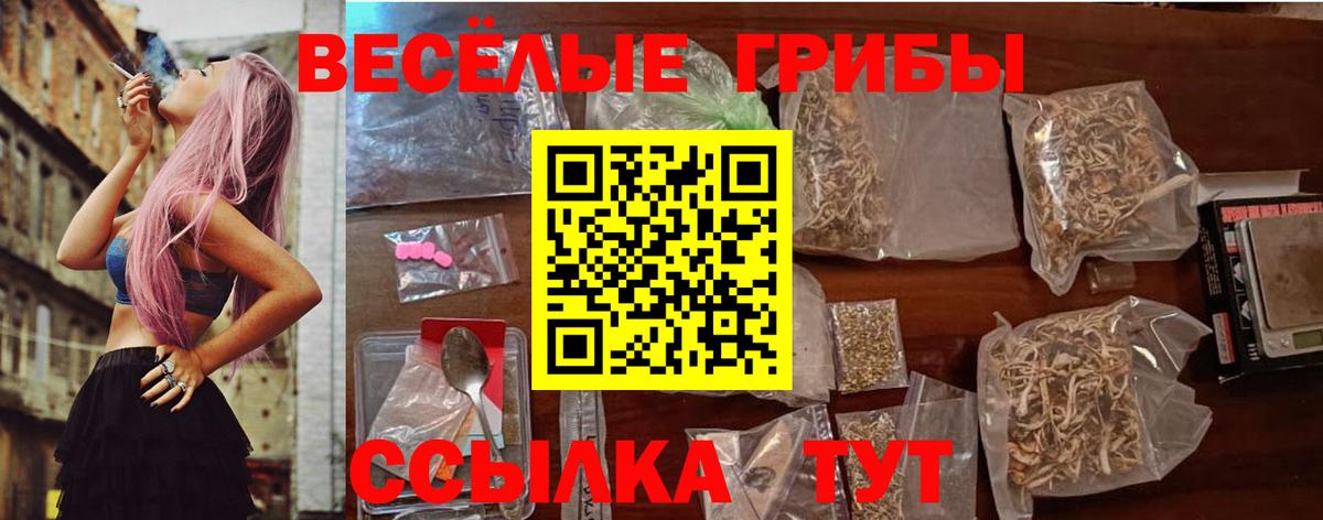 Галлюциногенные грибы Magic Shrooms Звенигород