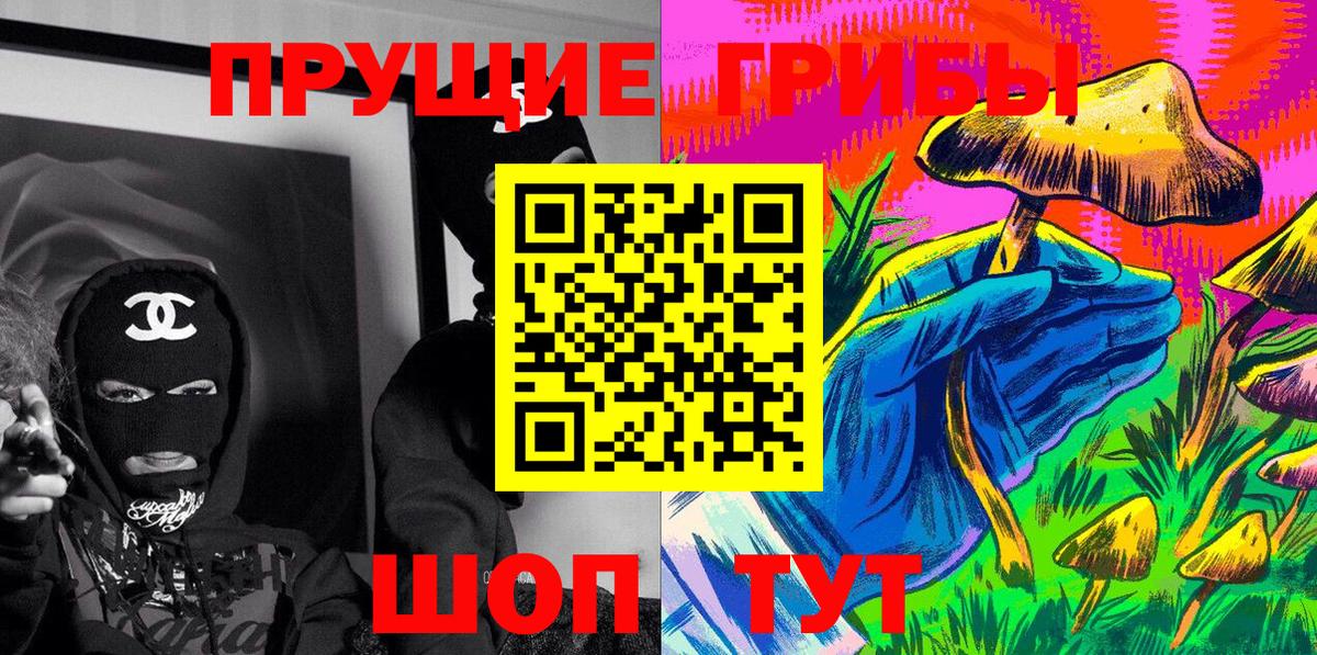 Псилоцибиновые грибы Psilocybe  Вход с VPN  Звенигород 